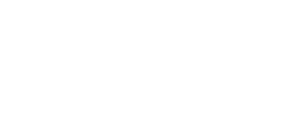 Formula 1